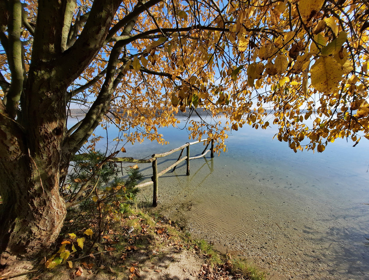 20211030_133628Haselbacher See.jpg