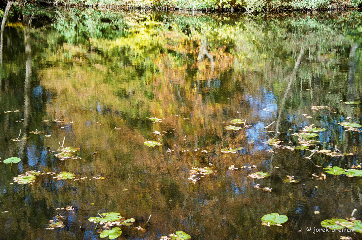 20211105-000072620023.jpg