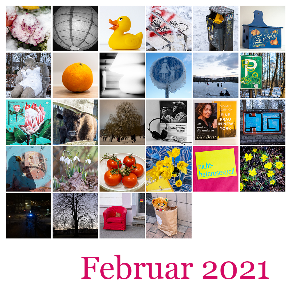 2021_02_Mosaik.jpg