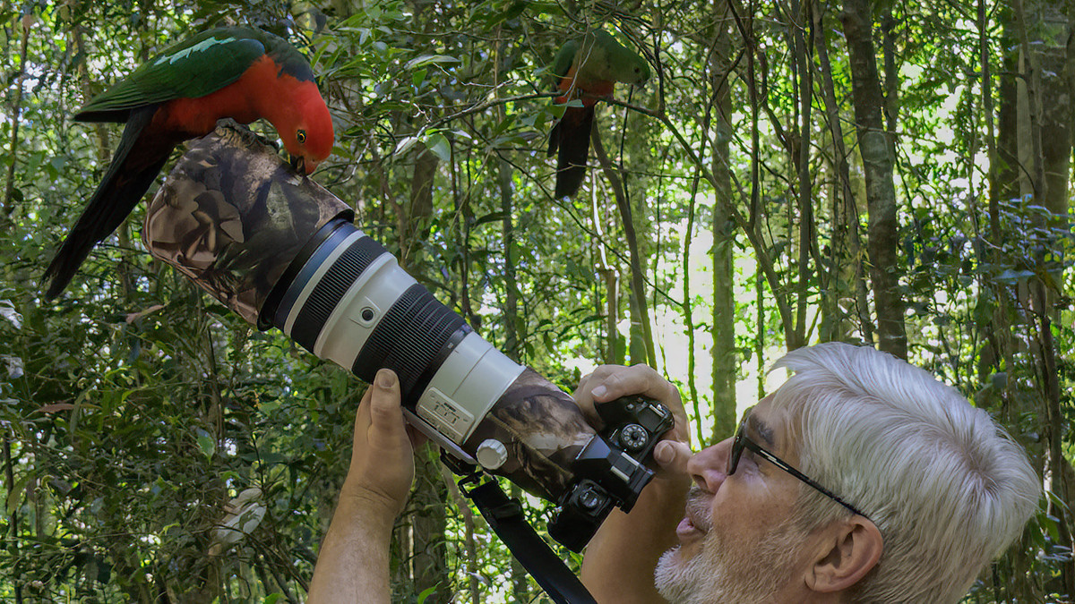 2022-12-06 31 Lothar with Australian King Parrot.jpg