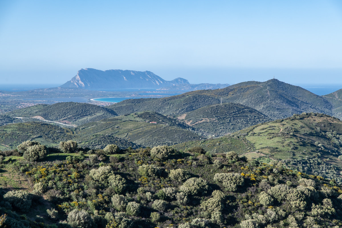 2022 Sardinien NF-F-9.jpg