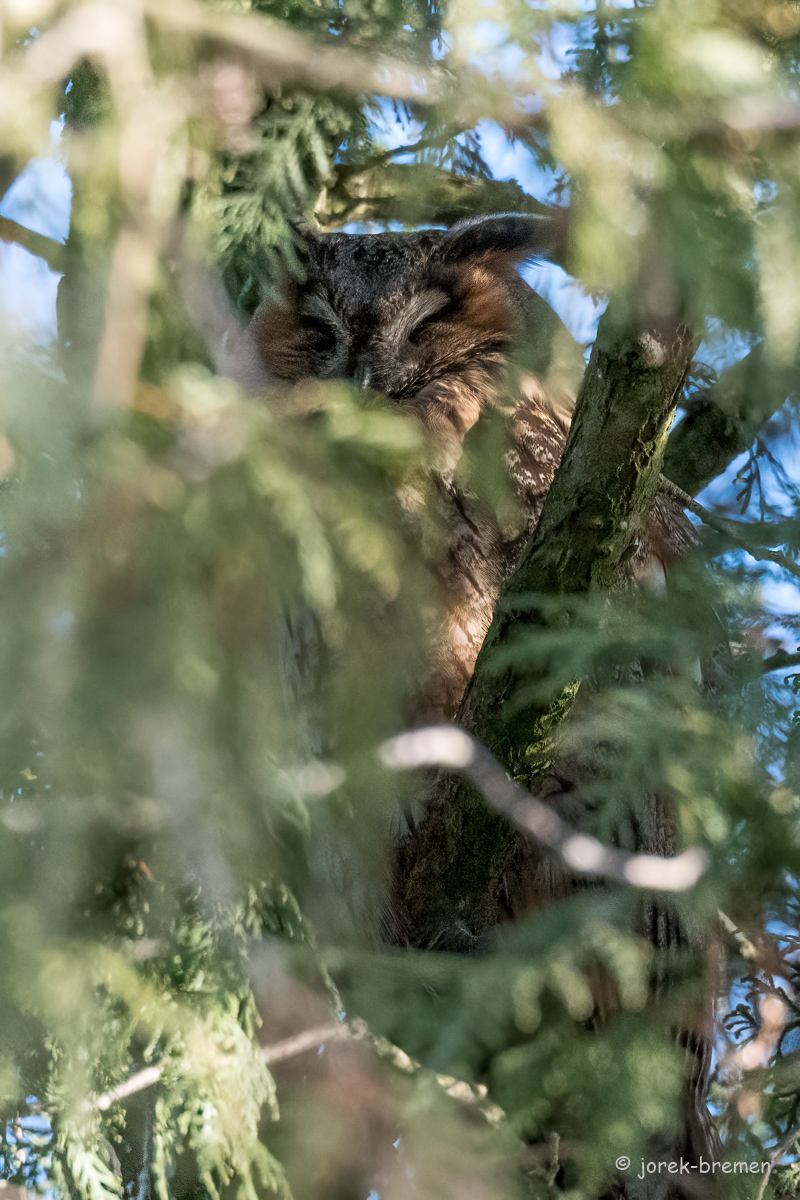 20220211-D50_6998-Bearbeitet.jpg