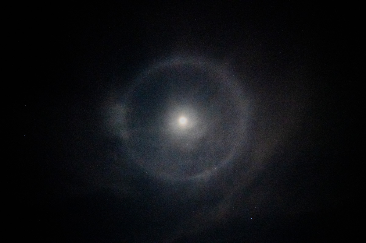 20220212-NZ6_7657.jpg