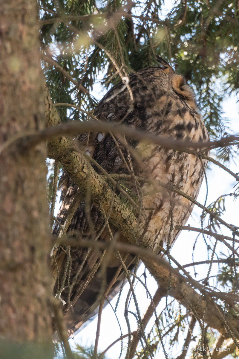 20220228-D50_7097-Bearbeitet.jpg