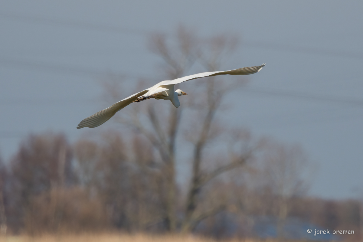20220228-D50_7147-Bearbeitet.jpg