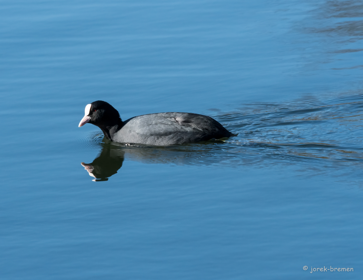 20220228-D50_7210-Bearbeitet.jpg