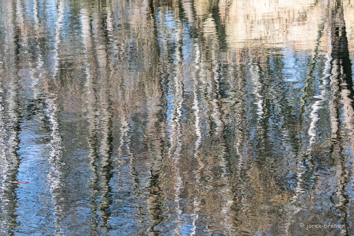 20220228-D50_7211-Bearbeitet.jpg