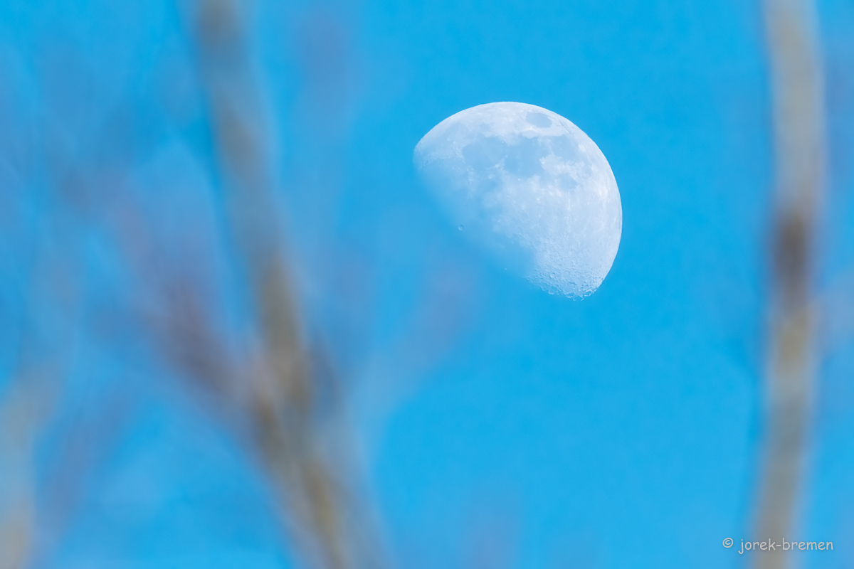 20220312-D50_7271-Bearbeitet.jpg