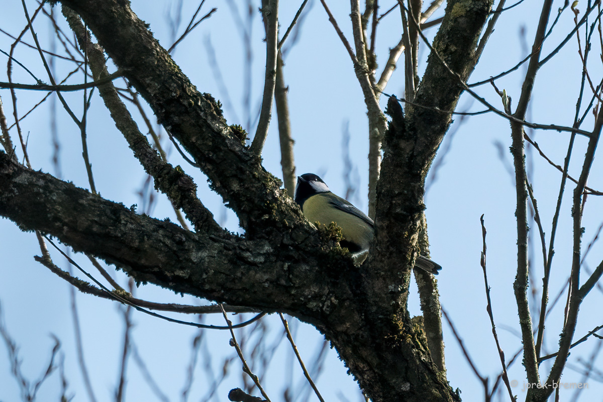20220312-D50_7278-Bearbeitet.jpg