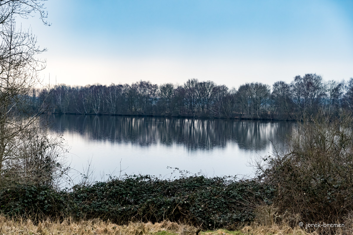 20220315-D50_4071-Bearbeitet.jpg