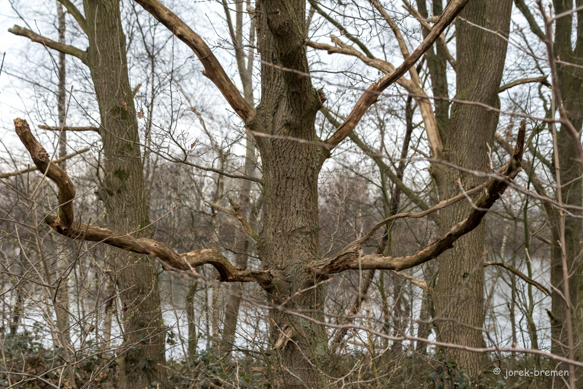 20220315-D50_4098-Bearbeitet.jpg