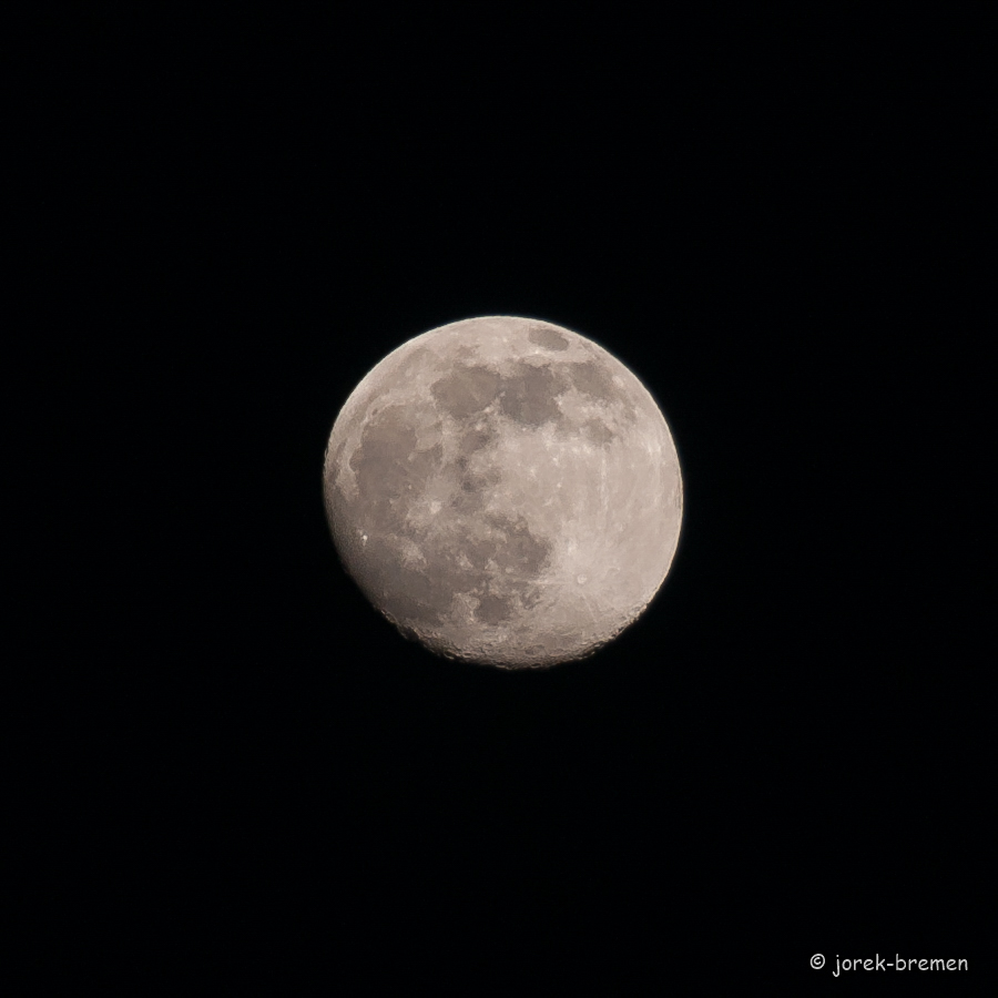 20220414-DSC_6309.jpg