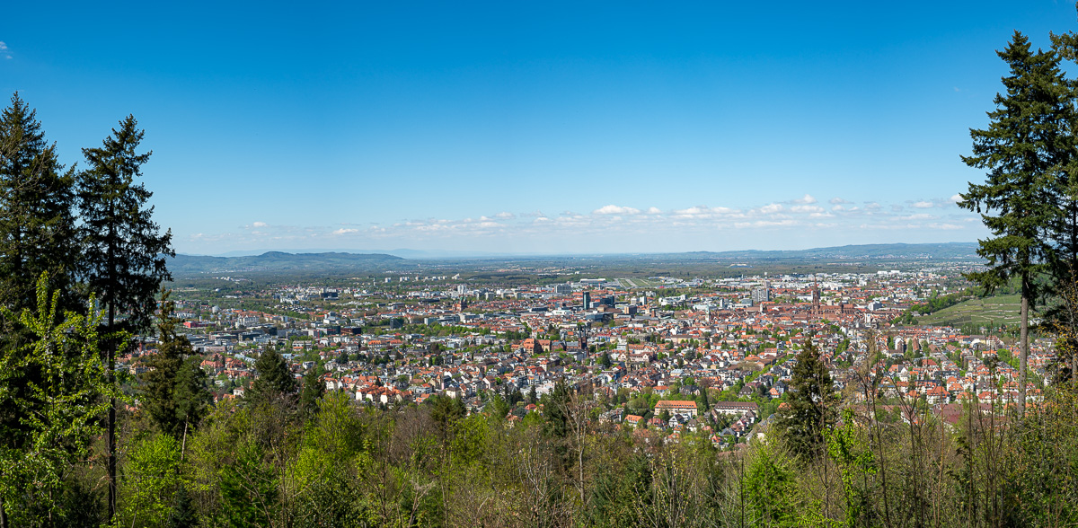 20220416-NZ6_8708-Pano.jpg