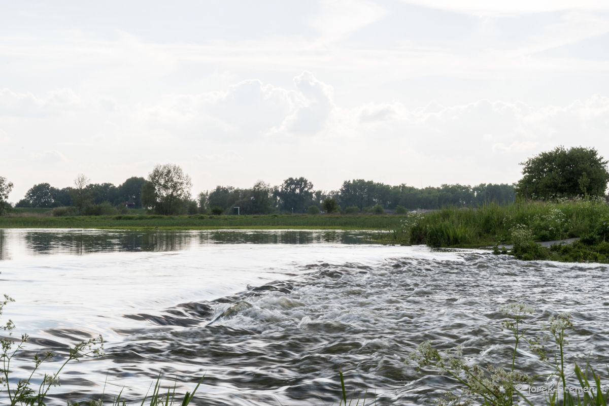 20220517-D50_4527.jpg