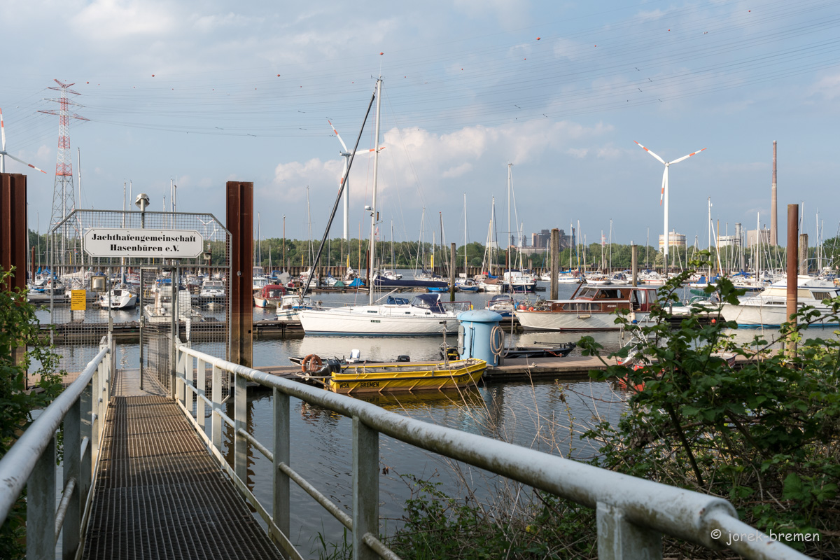 20220517-D50_4546.jpg