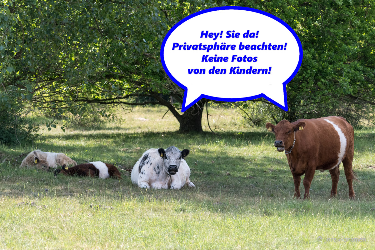 20220517-D50_7752-Bearbeitet-Bearbeitet.jpg