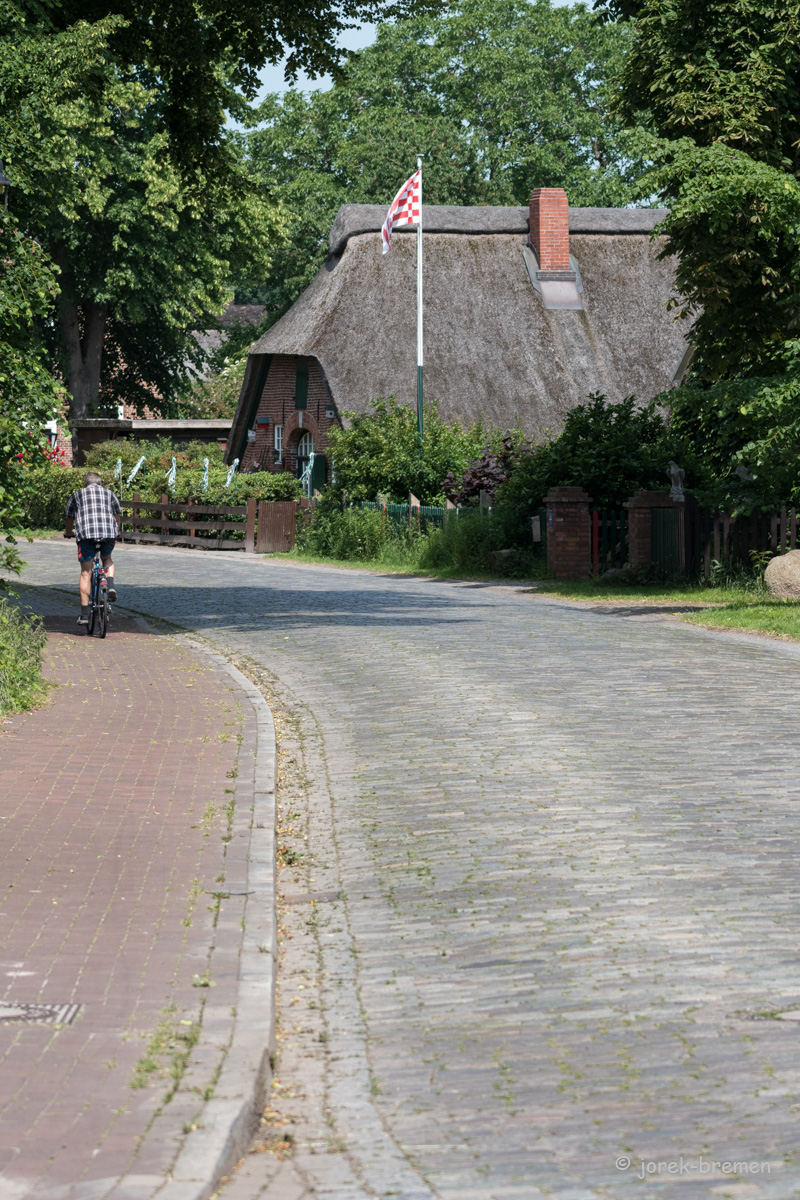 20220618-D50_9831.jpg