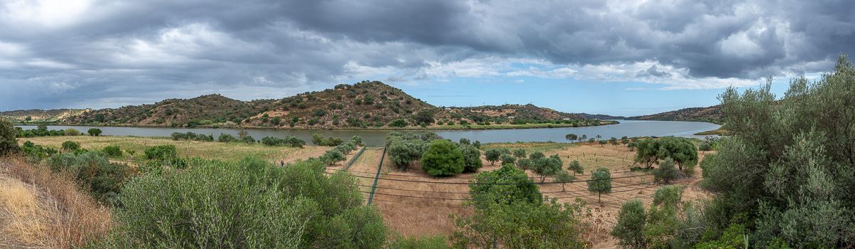 20220622-NZ6_0275-Pano.jpg