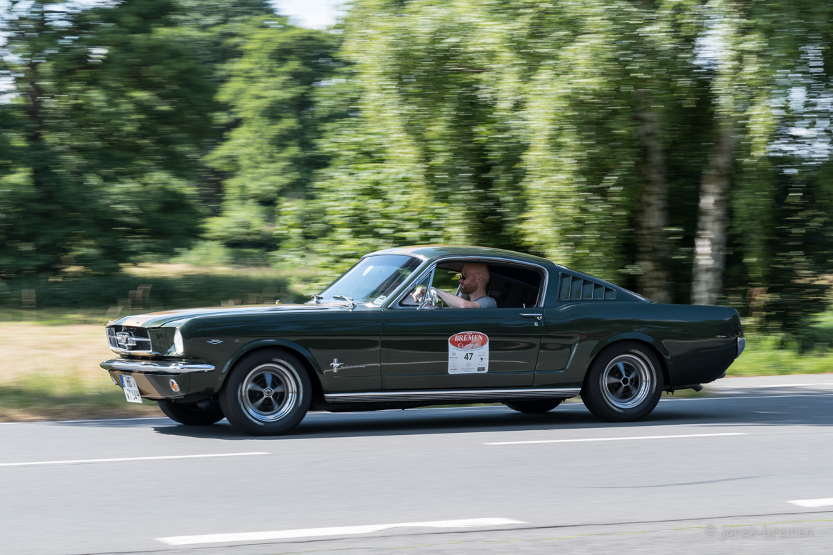 20220625-D50_5497-Bearbeitet.jpg