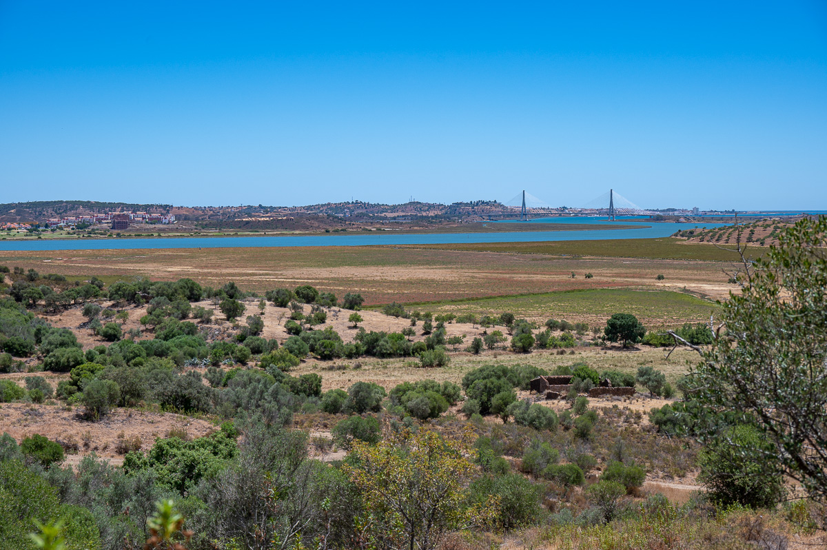 20220625-NZ6_1252.jpg