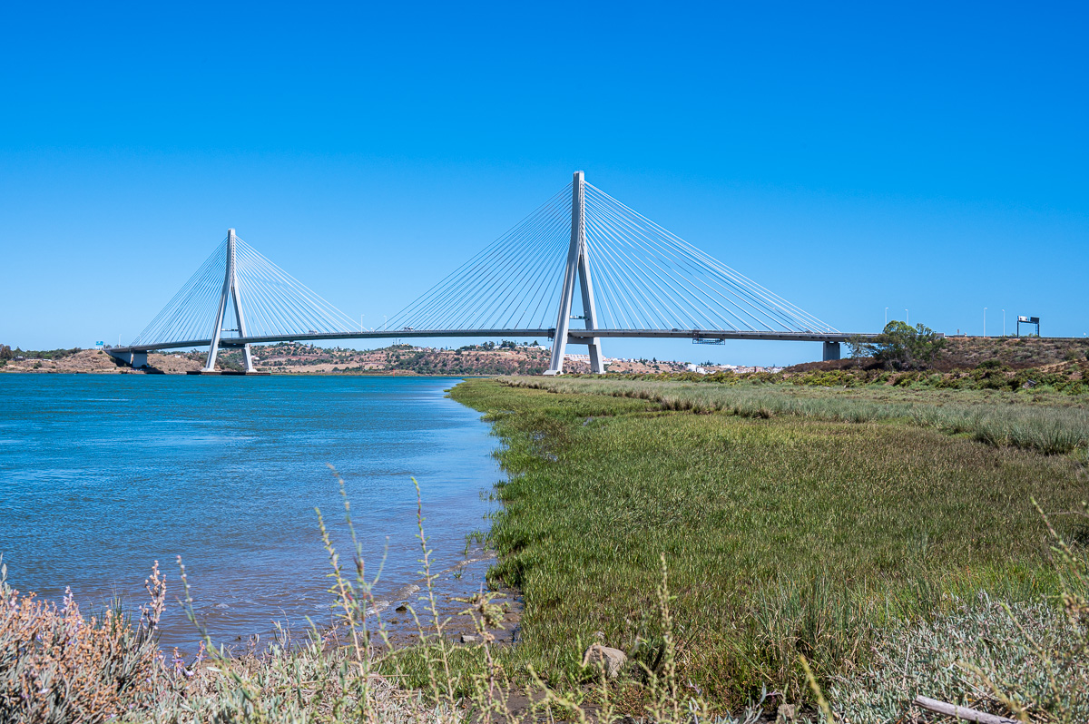20220625-NZ6_1286.jpg