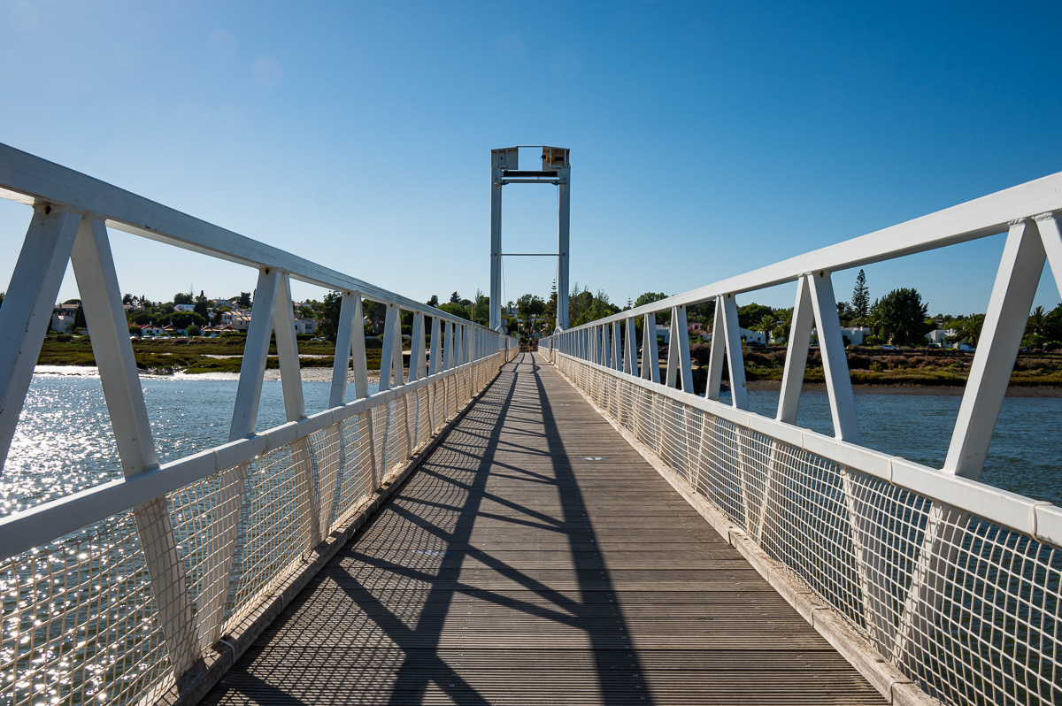 20220627-NZ6_1452.jpg