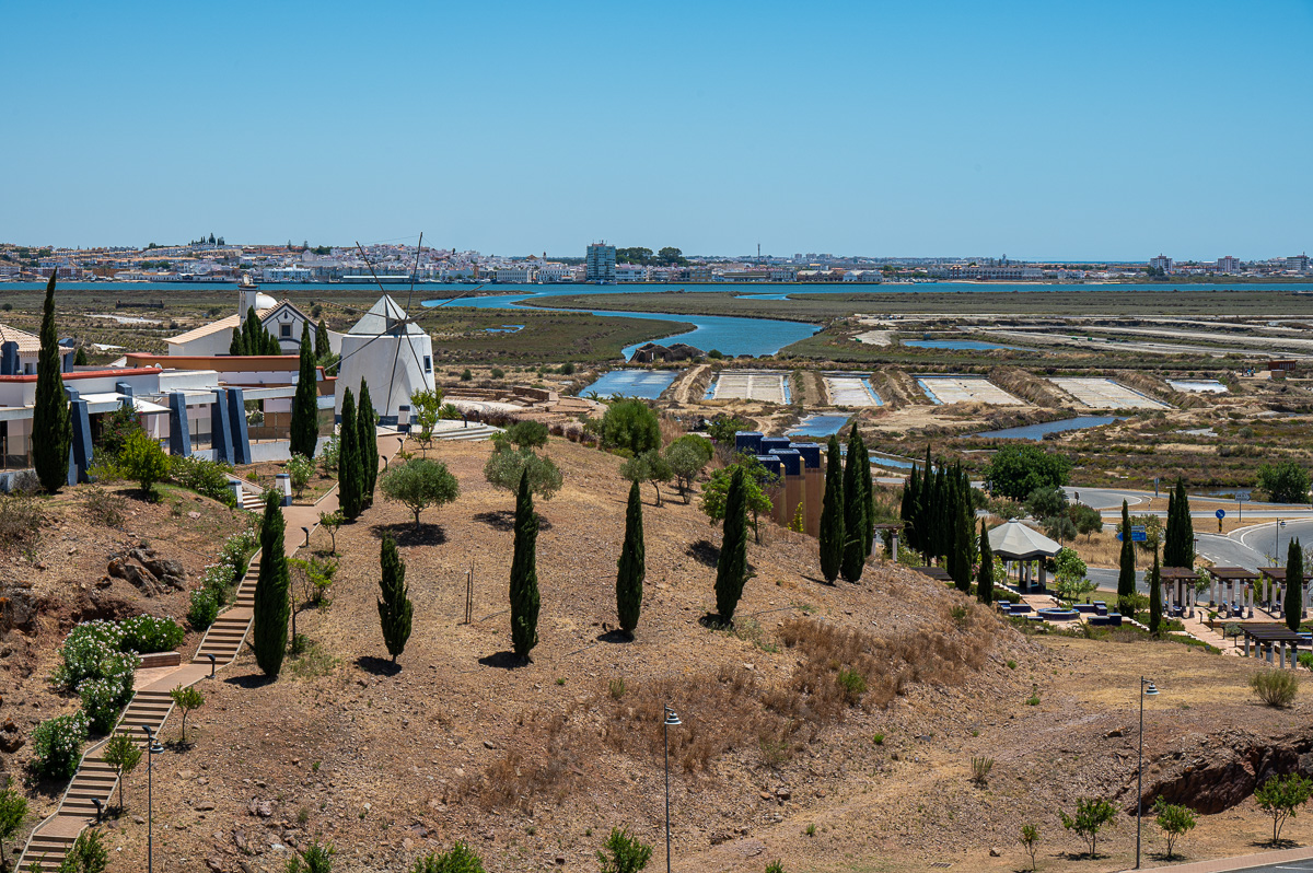 20220629-NZ6_1778.jpg