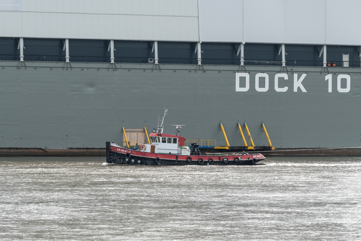 20220801-D50_6370.jpg