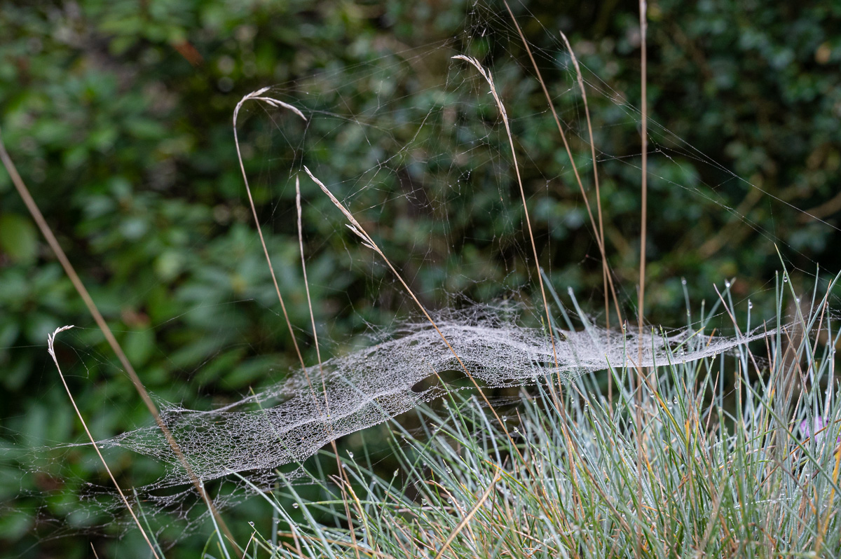 20221112-NZ6_3575.jpg
