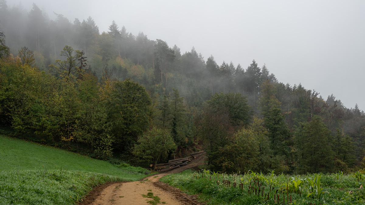 20221113-NZ6_3618.jpg