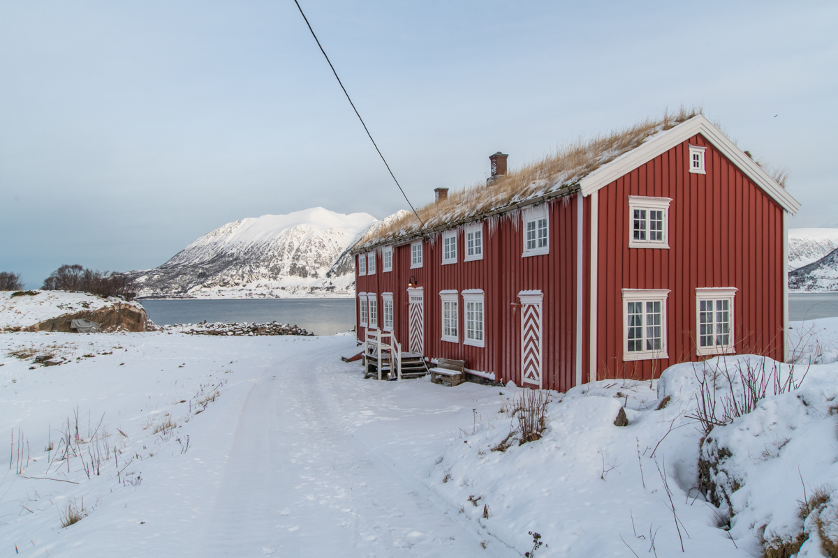 2023 Lofoten-11.jpg