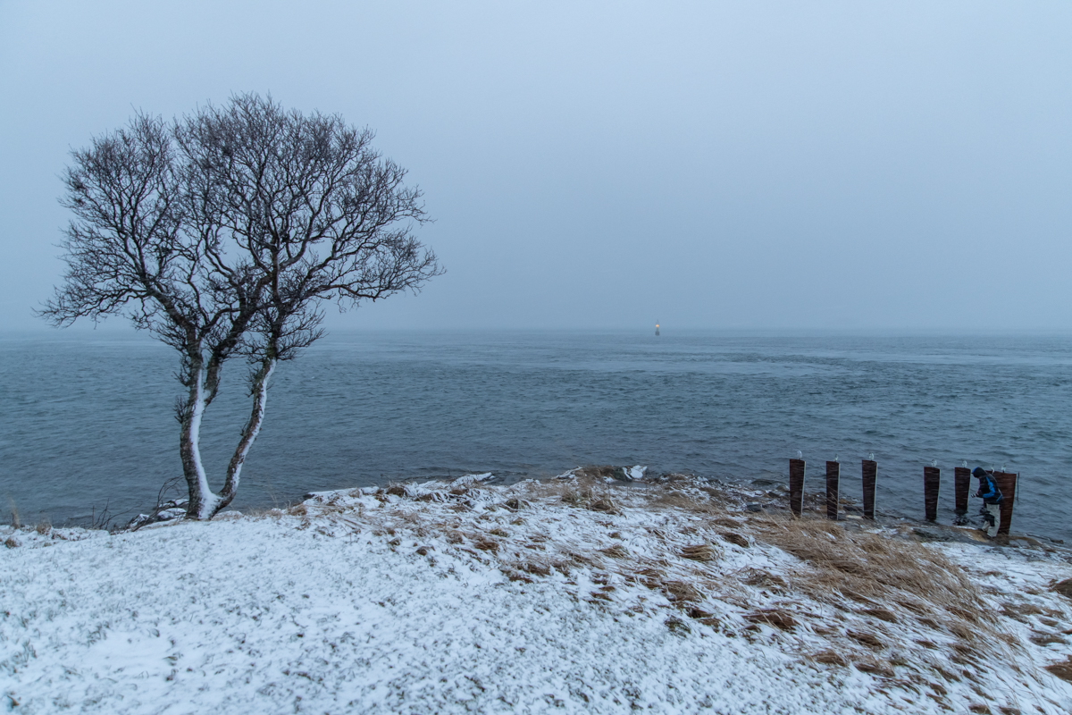 2023 Lofoten-114.jpg
