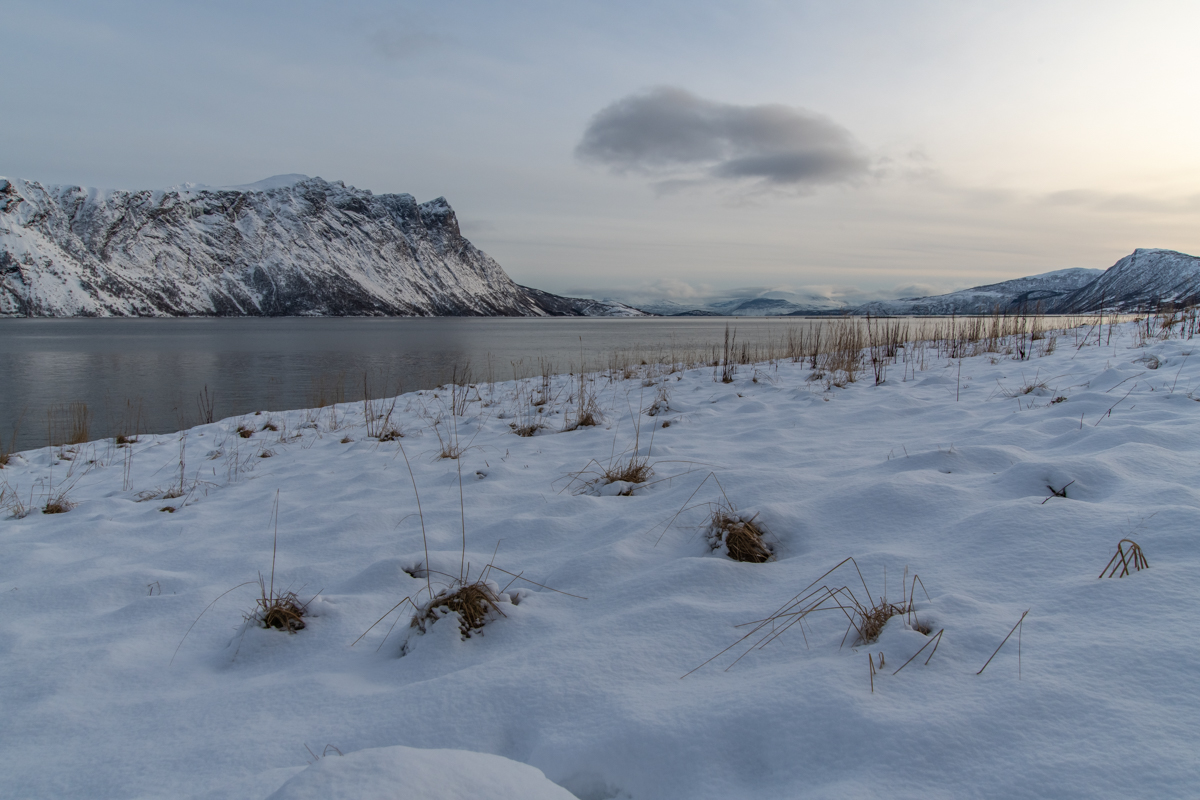 2023 Lofoten-12.jpg