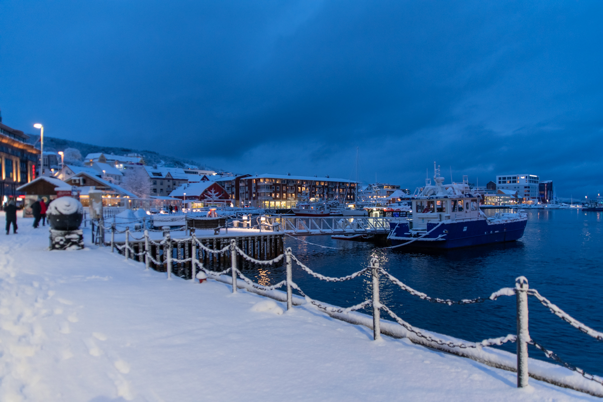 2023 Lofoten-128.jpg