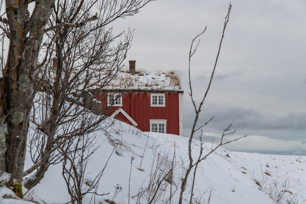 2023 Lofoten-13.jpg