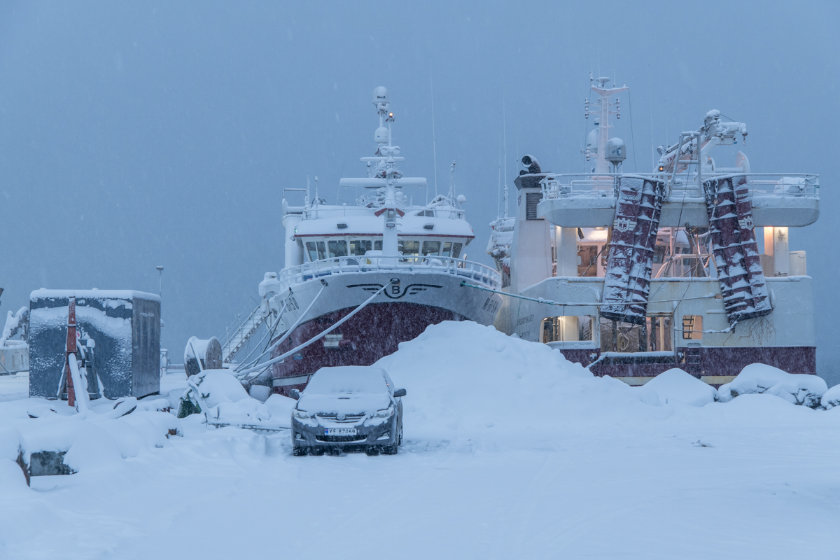 2023 Lofoten-138.jpg