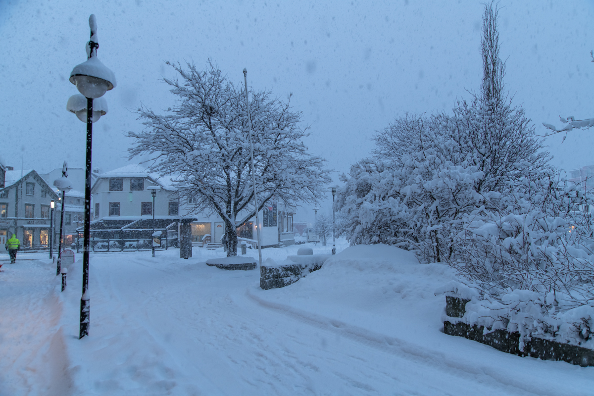 2023 Lofoten-139.jpg