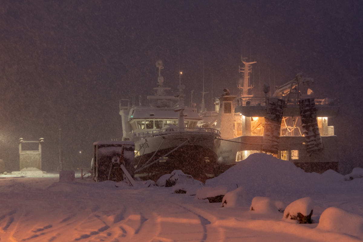 2023 Lofoten-143.jpg