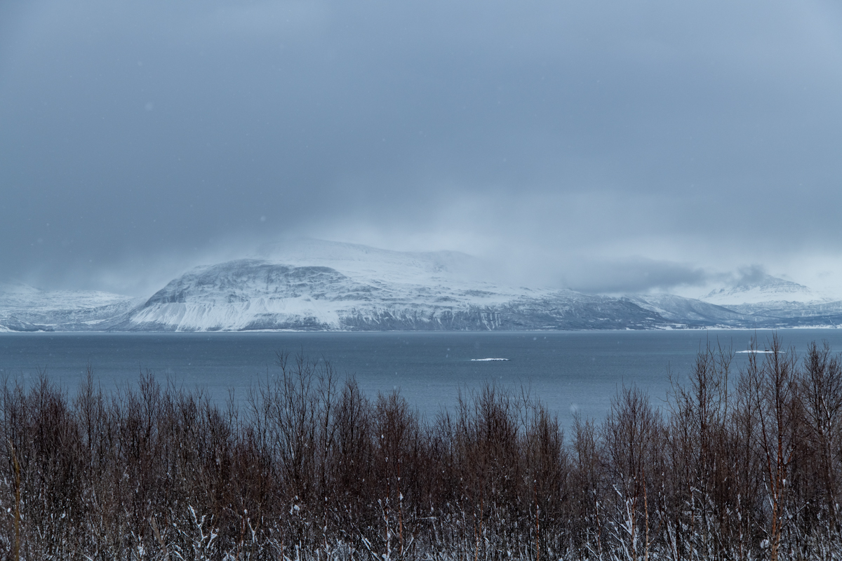 2023 Lofoten-145.jpg