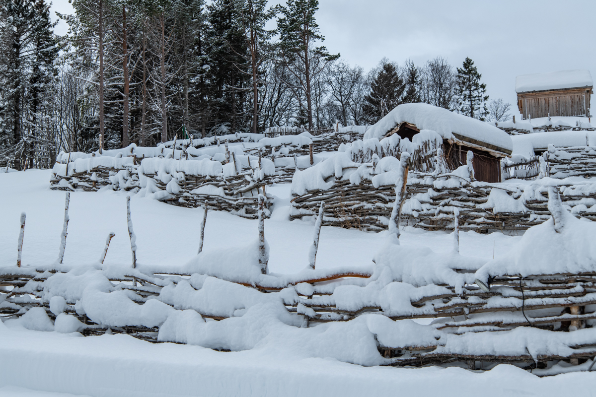 2023 Lofoten-156.jpg