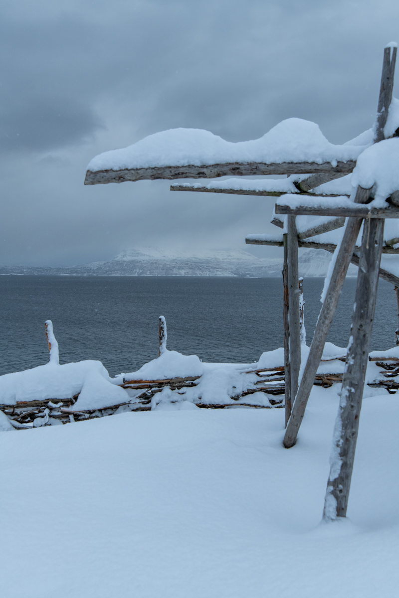 2023 Lofoten-158.jpg