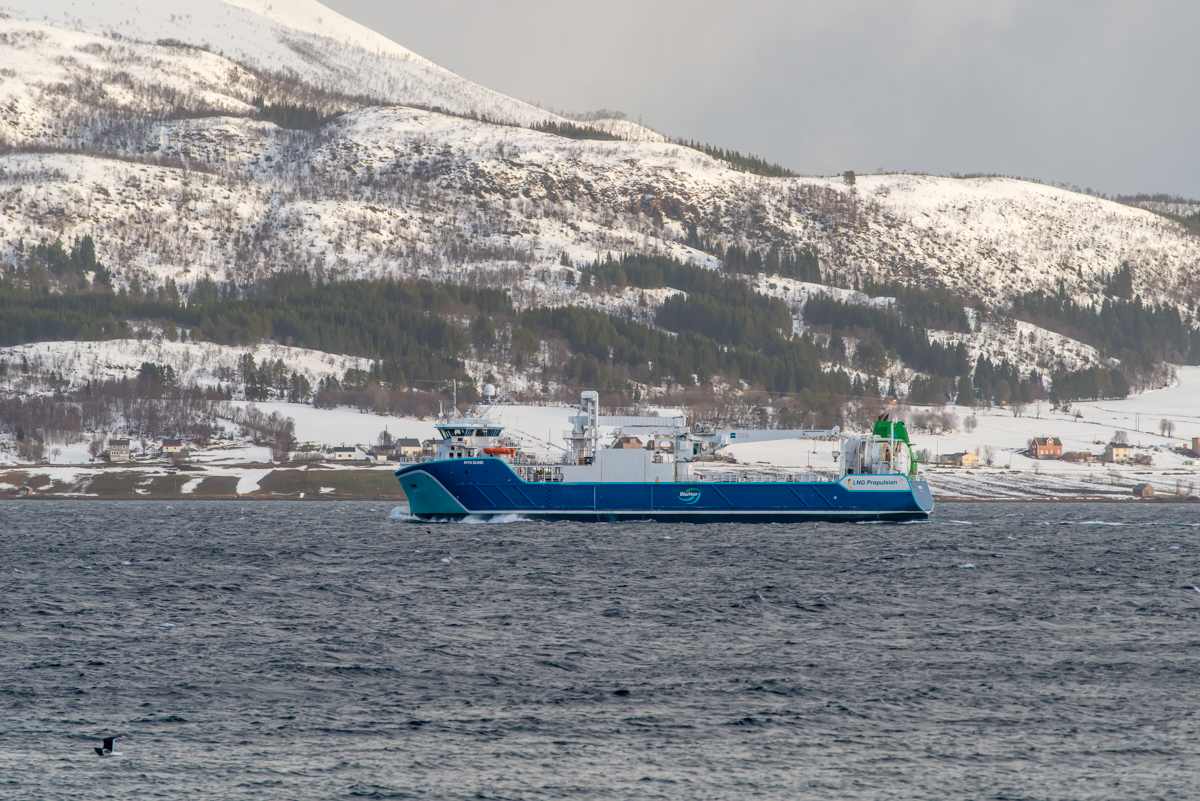 2023 Lofoten-170.jpg