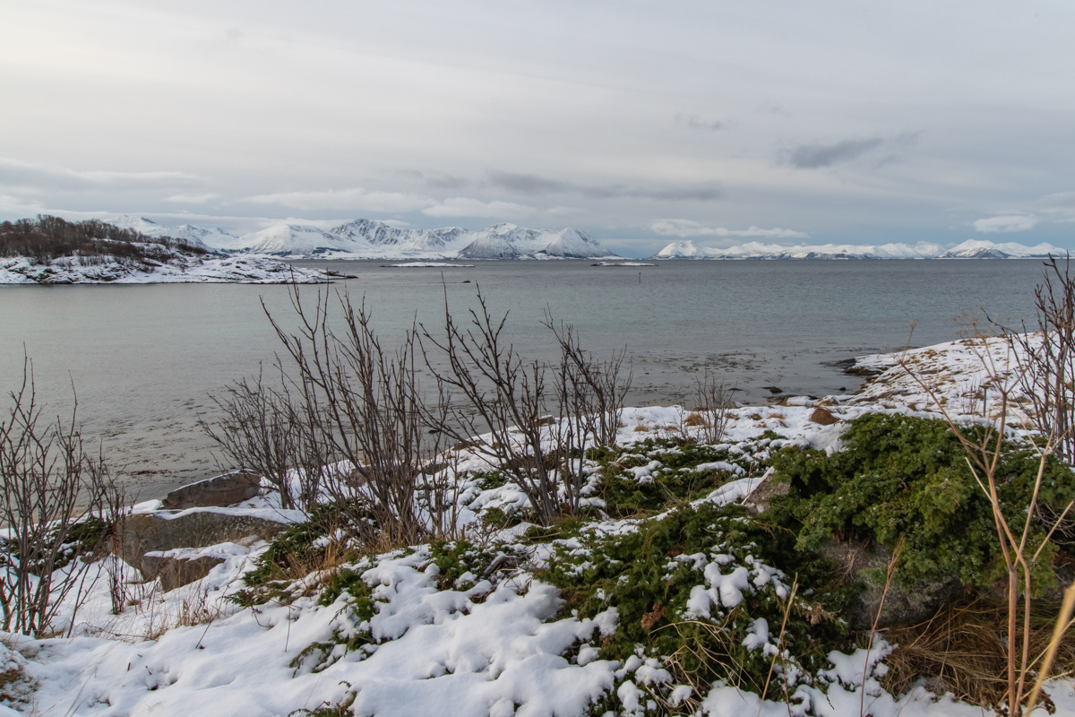 2023 Lofoten-18.jpg