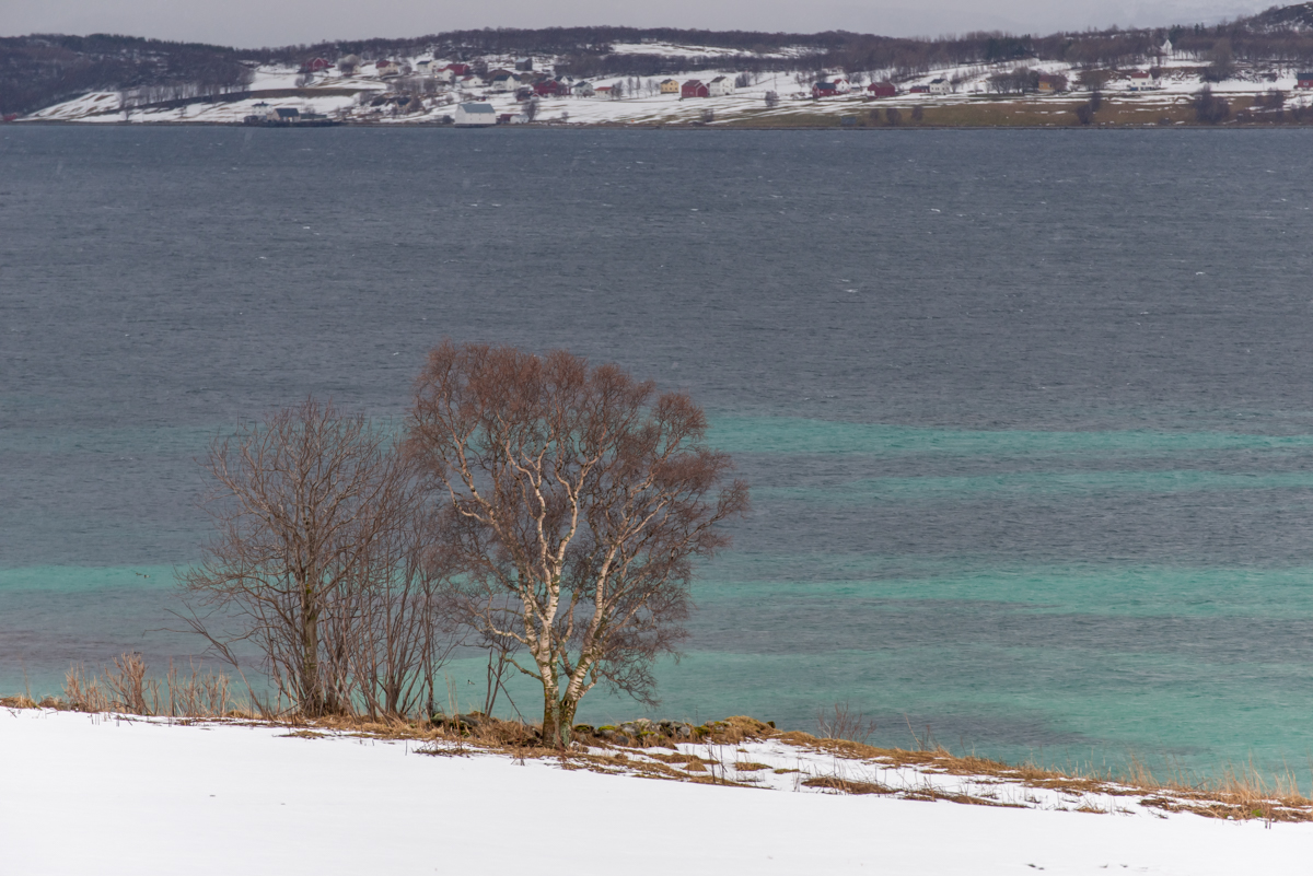 2023 Lofoten-193.jpg