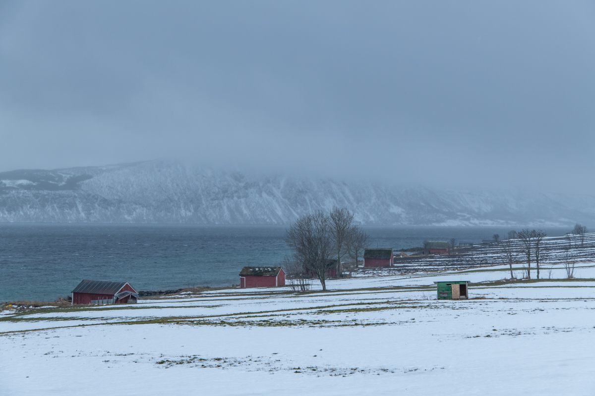 2023 Lofoten-194.jpg