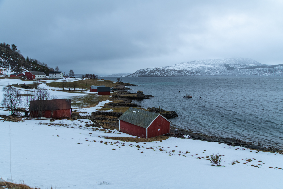 2023 Lofoten-195.jpg