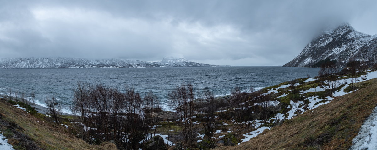 2023 Lofoten-196.jpg
