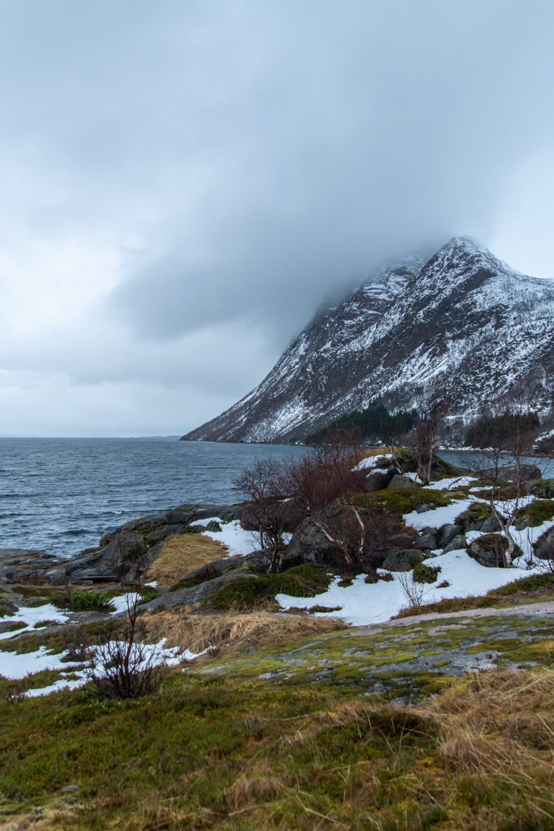 2023 Lofoten-198.jpg