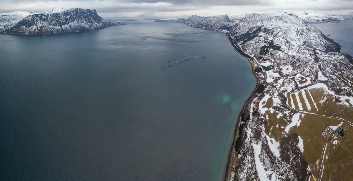 2023 Lofoten-203.jpg