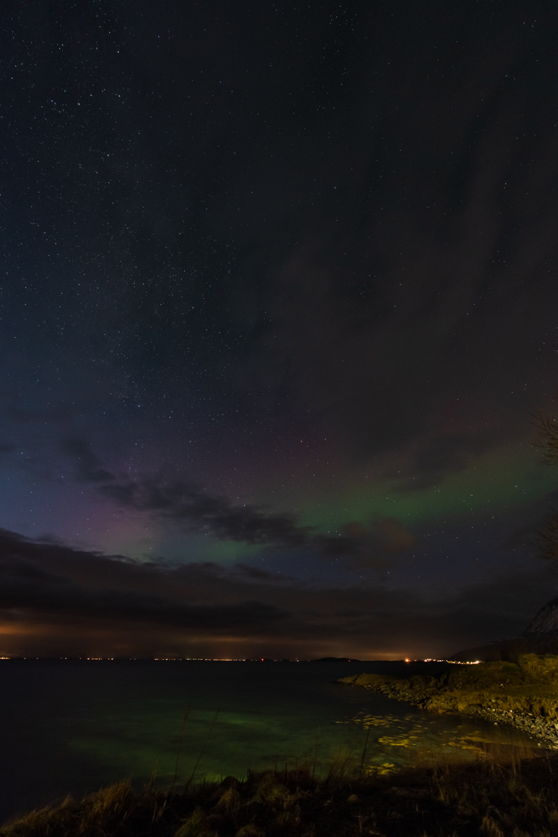 2023 Lofoten-212.jpg
